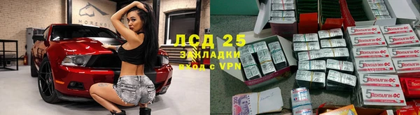 дживик Богородск