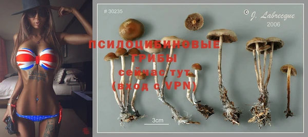 прущие крисы Бронницы
